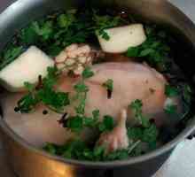 Kuhanje svinjetina gubernaculum - fascinantan proces