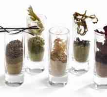 Primjena algi u prahu. Morske alge u kozmetici i kuhanje