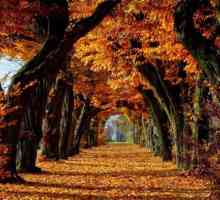 Priroda jesen: serija nevjerovatan metamorfoze
