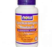 Probiotik "Saccharomyces boulardii": uputstva za upotrebu, opis, sastav i recenzije