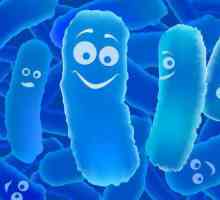 Probiotici za djecu: naziv. Listu najboljih probiotika za djecu