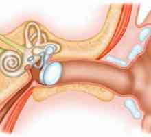Uključite utikač u uho: simptomi, načina za uklanjanje