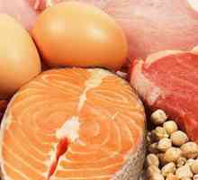 Proizvodi sa najvećim sadržajem proteina: hrana za zdravlje i ljepotu