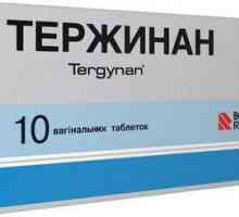 Antibiotika. Uputstva za upotrebu "Terzhinan"