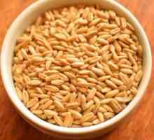 Pšenica žitarica u multivarka "Redmond": kuhanje tajne