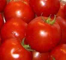 Neka paradajz imati obilne zalijevanje, rijetke i precizno