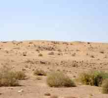 The pustinja Karakum (Turkmenistan): opis, karakteristike, klime i zanimljivosti