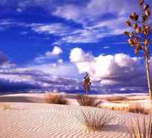 Thar Desert: fotografija, životinjski svijet. Gdje je Thar Desert?
