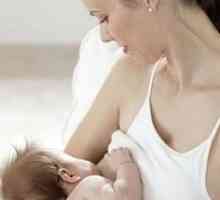 Ishrani dojilja u prvom mjesecu nakon poroda