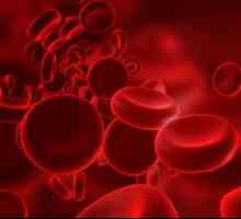 Rak krvi: simptomi kod žena. Simptomi raka krvi kod odraslih