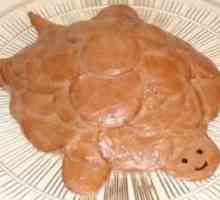 Torta recept, "kornjača" s vrhnjem - magični okus jednostavnosti