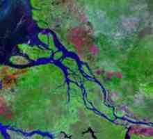 Amazon River - najdublja rijeka na svijetu