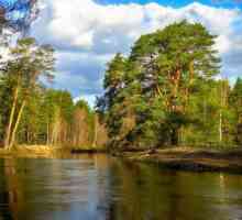 River Nerskaya River u Moskvi: opis, karakteristike, fotografije
