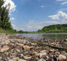 River Sakmara: Značajke, priroda, turizam