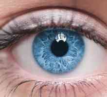 Preporuke za održavanje dobrog vida. Vitamini za vid