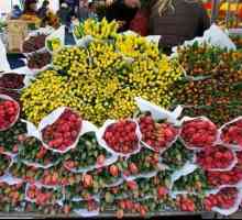 Riga Flower Market ponude
