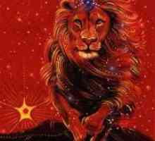 Rođen 22. Avgust: horoskopski znak - lav.