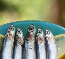 Riba hamsa: kalorija i recepti