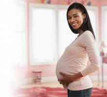 Sa mjesec dana porodiljskog odsustva Buduće mame?
