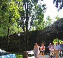 "Safari Park" u Krasnodaru: povijest, flora i fauna, troškovi pohađanja