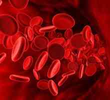 Najrjeđih krvne grupe - individualne karakteristike