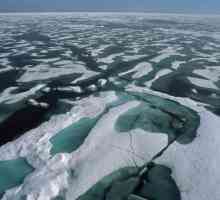 Najhladniji okean na planeti: klime i organski svijet