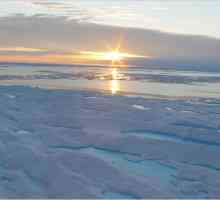 Najmanji Ocean - Arctic