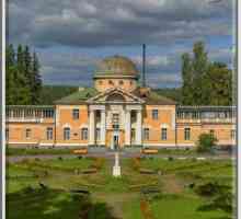 Sanatorium, Leningrad: mišljenja, mogućnosti liječenja. Najbolji odmarališta područja Lenjingrada…