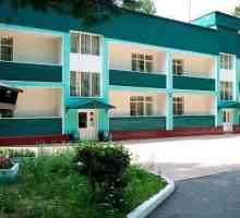 Sanatorij "Pine Forest" (Kemerovo regija, selo Podyakovo): zdravstvena zaštita, hrana,…
