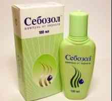 "Sebozol" (šampon): opis indikacije za upotrebu, upute