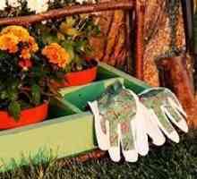 Gardening Secrets: jesen rad u vrtu i vrt