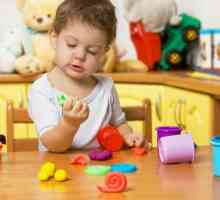 Senzorni razvoj djece 2-3 godina. Igre za djecu senzorne razvoj