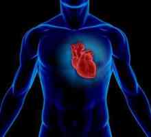 Srce grba: Izaziva, Dijagnoza, tretman