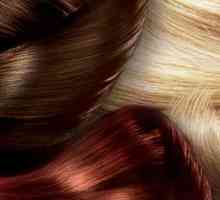 "Cieza" (boja kose): mišljenja, cijene, paleta