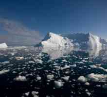 Arktički okean: proučavanje oceana. Istorija studije Arktičkog okeana