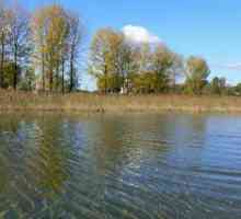 Shatsky Jezera: locirati i rekreaciju
