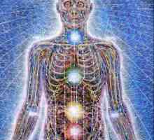 Škola ezoteričnih znanja: energetski nivo ljudskog tijela i uma