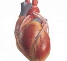 Srce bypass operacije vaskularne: indikacije i metode implementacije