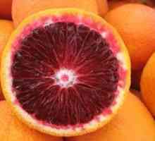 Sicilijanske crvene naranče korisnih svojstava i kontraindikacije