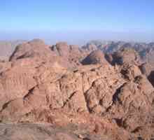 Sinai (Mount). Izleti na planinu Moses