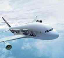 "Singapore Airlines": zvaničnom sajtu aviokompanije i recenzije