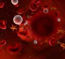 AB0 sistema i nasljeđivanje krvne grupe kod ljudi