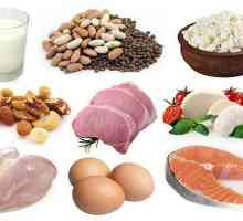 Koliko proteina probaviti u jednom obroku? Proteina i ugljikohidrata u hrani