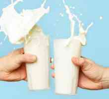 Koliko proteina u mlijeku (100 grama). Koliko proteina u mlijeko u prahu