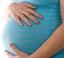 Koliko tjedna trudna žena hoda? dajemo odgovor