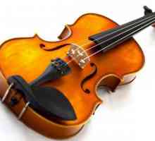 Koliko konce u violinu i kako alat?