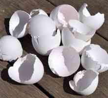 Ljuske od jaja kao izvor kalcija. Kako kuhati ljusci jajeta kao izvor kalcija