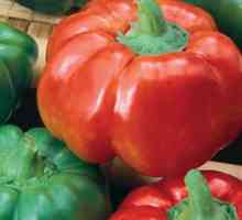 Slatke paprike gogoshary: šta je to?