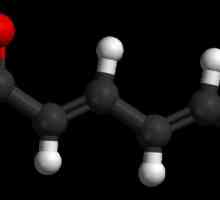 Sorbinska kiselina i njegova svojstva