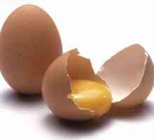 Sastav jaja. Kemijski sastav kokošije jaje